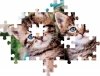 Puzzle 60 Urocze kotki Lovely Kitty 